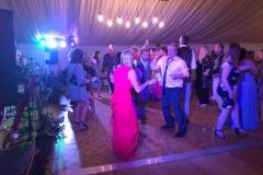 Marquee-Wedding-Party-July-2021